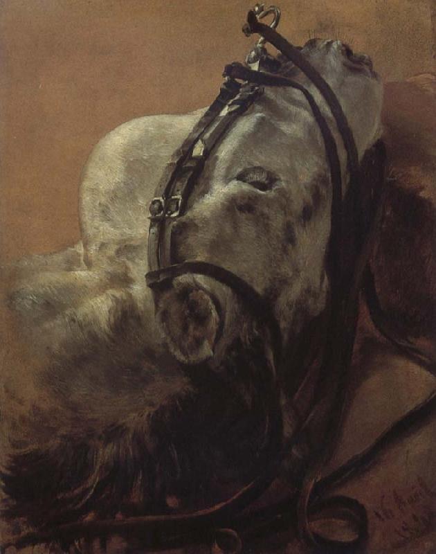 Adolph von Menzel Euine Study,Recumbent Head in Harness oil painting image